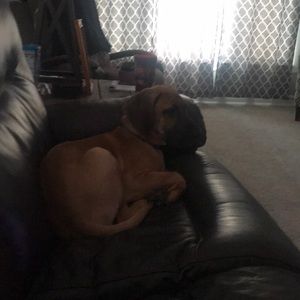 Meet your Posher, Tracy